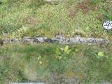 image of grave number 662837